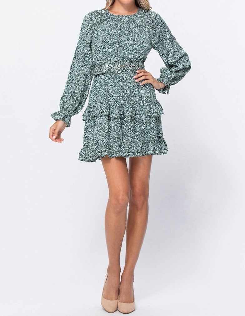 Ruffle Detail Leopard Mini Dress