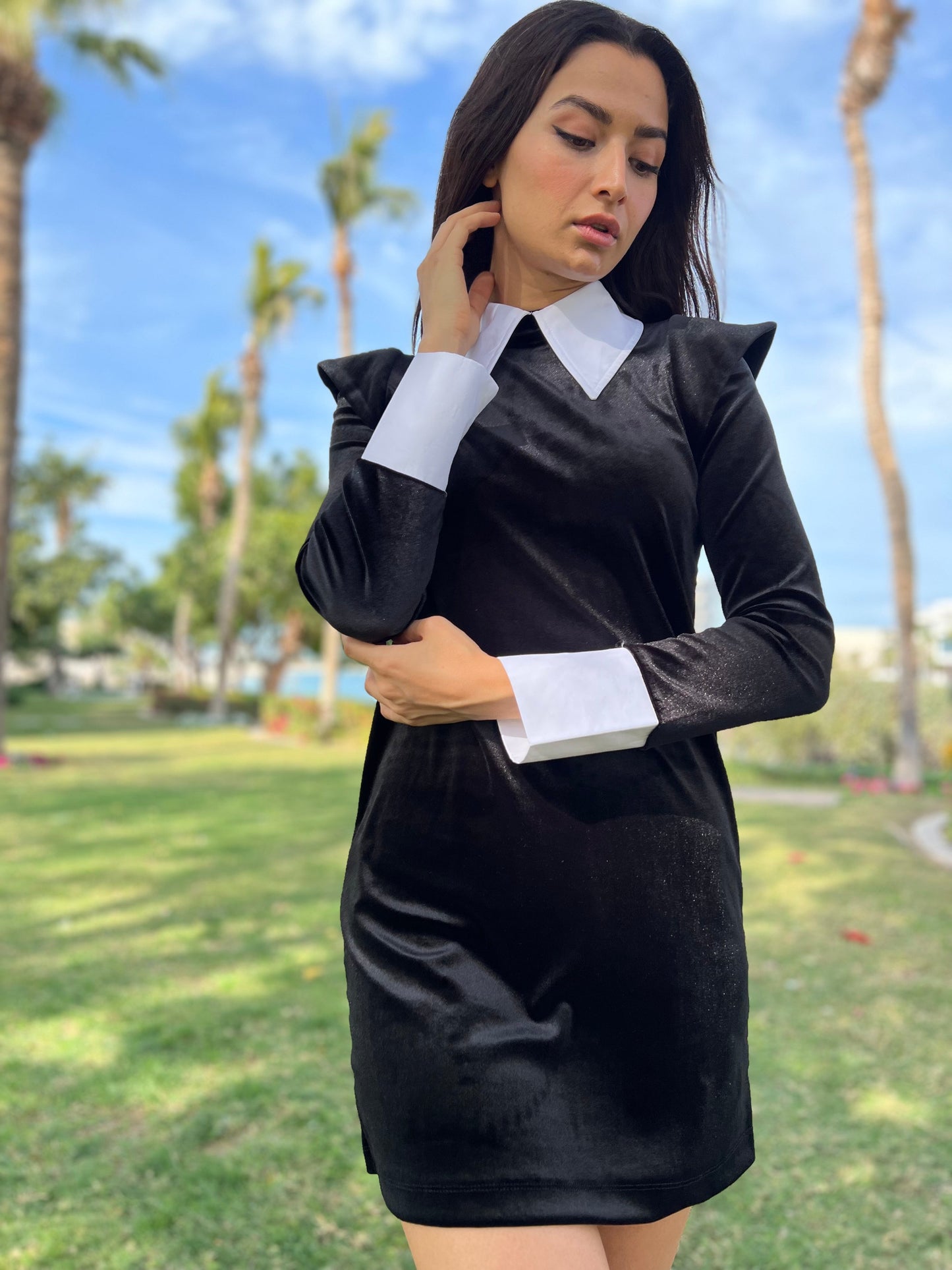 White Collar Mini Dress