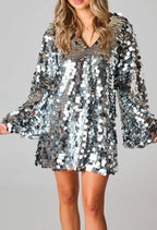 Silver Sequin Dress